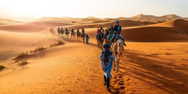 المغرب أفضل وجهة سياحية بالشرق الأوسط فى مؤشر السفر العالمي للحياة البرية