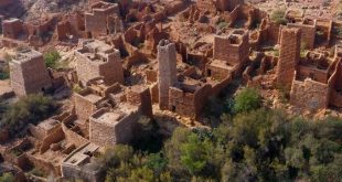 5 دول تتصدر قائمة الوافدين الجدد للسعودية منذ إطلاق أول تأشيرة سياحية