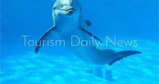 كنتسفورد البريطانية : مدينة شرم الشيخ قائمة أفضل الوجهات السياحية العالمية فى 2020