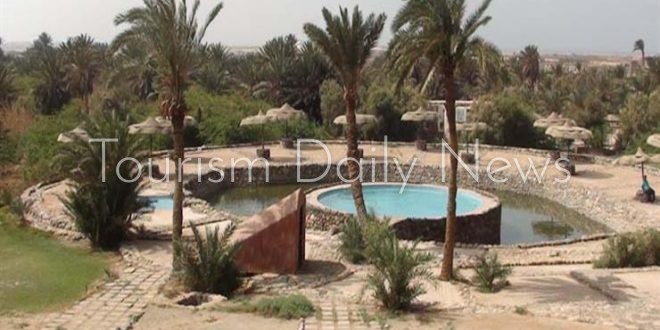 السفير الياباني: حمام موسي بطور سيناء منطقة واعدة للسياحة العلاجية