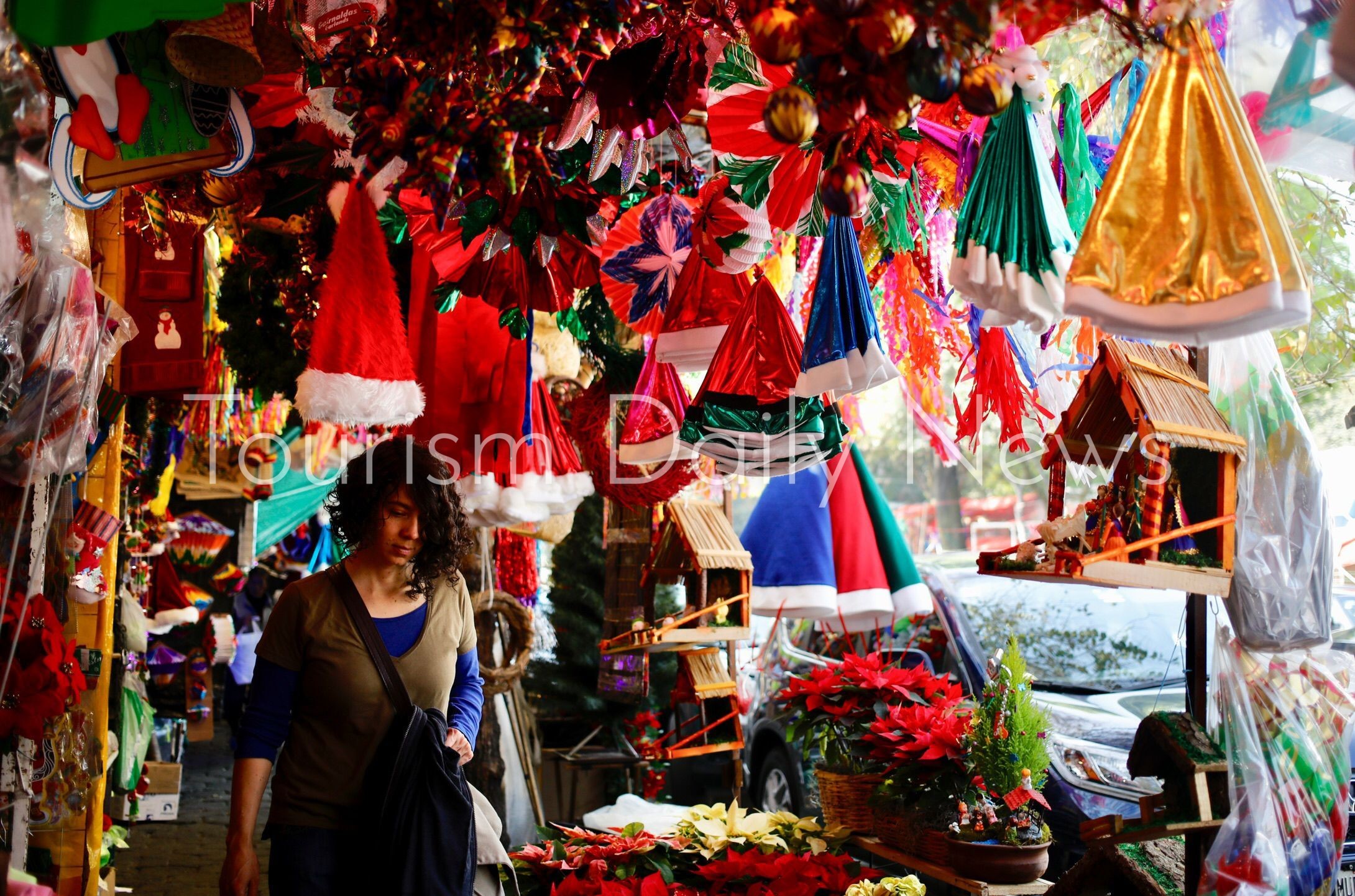 أسعار شجر الكريسماس في محلات الزينة