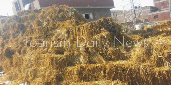 حملة توعيه بيئية المخلفات الزراعية فى قنا للحد من التلوث