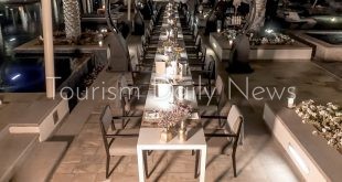 دوريس.. جزيرة السعديات تحوّلت إلى منارة ثقافية في أبوظبي