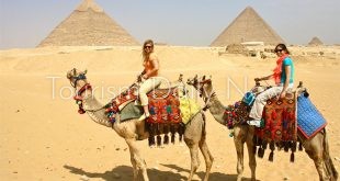 منصة إلكترونية للمقاصد السياحية غير التقليدية تحت مسمى طوف وشوف