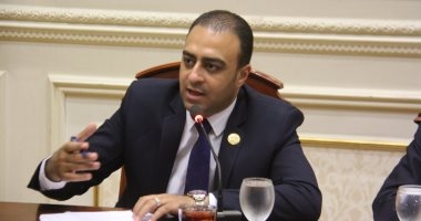 النائب الوفدى الدكتور محمد خليفة، عضو مجلس النواب