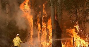 3.1 مليار دولار خسائر متوقعة للسياحة فى أستراليا جراء حرائق الغابات