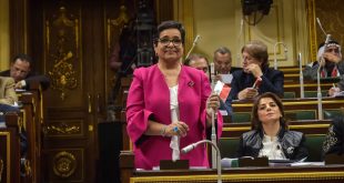 النائبة أنيسة حسونة، عضو مجلس النواب