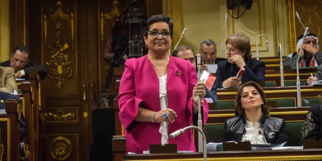 النائبة أنيسة حسونة، عضو مجلس النواب