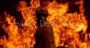 هطول الأمطار يوقف تقدم النيران فى حرائق استراليا