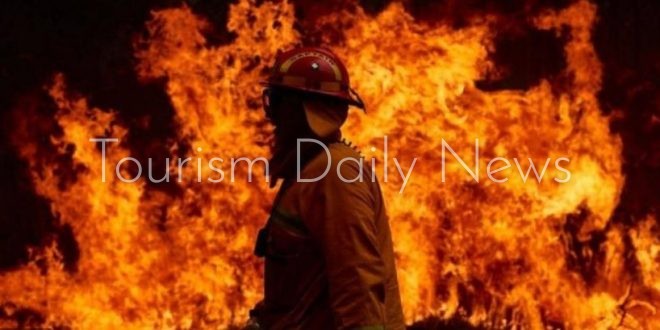 هطول الأمطار يوقف تقدم النيران فى حرائق استراليا