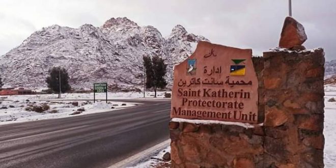 وزيرة البيئة تدعو المصريين لقضاء ليلة سياحية وسط ثلوج سانت كاترين