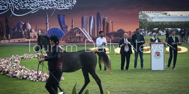 ٤ ملايين درهم عوائد مهرجان عجمان الدولي لجمال الخيول العربية