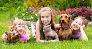 7 فوائد للطفل فى تربية الحيوانات الأليفة بالمنزل