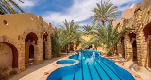 بوكينج :2206 جنيهات أغلي غرفة فندقية بسيوة وبالم تريز الأرخص