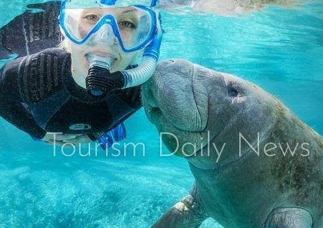 تجارب الحياة البرية الأقل شهرة وأكثر المخلوقات إغراءاً للسفر حول العالم