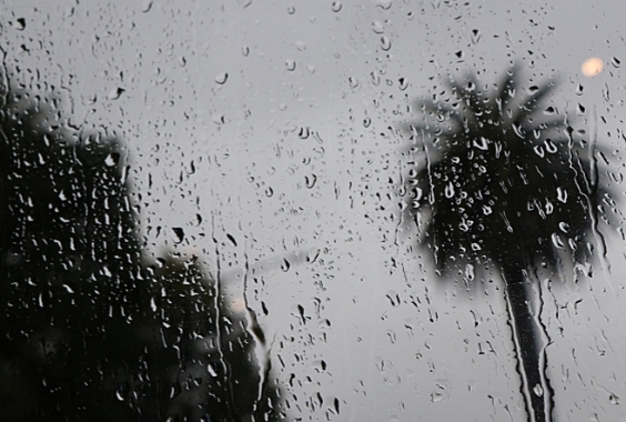 اختلاف فصول السنة تكشف جوانب شخصية الإنسان