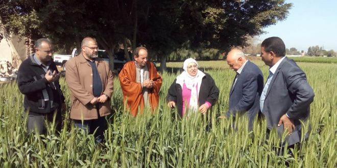 رئيس قطاع الارشاد الجديد يبدأ مهام عمله بلقاء العارضين بمعرض زهور الربيع