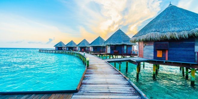 كلير تريب تطلق عروضاً خاصة للعطلات بمناسبة عيد الحب