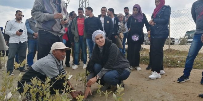 وفد من جامعة جنوب الوادي يزور محمية المانجروف