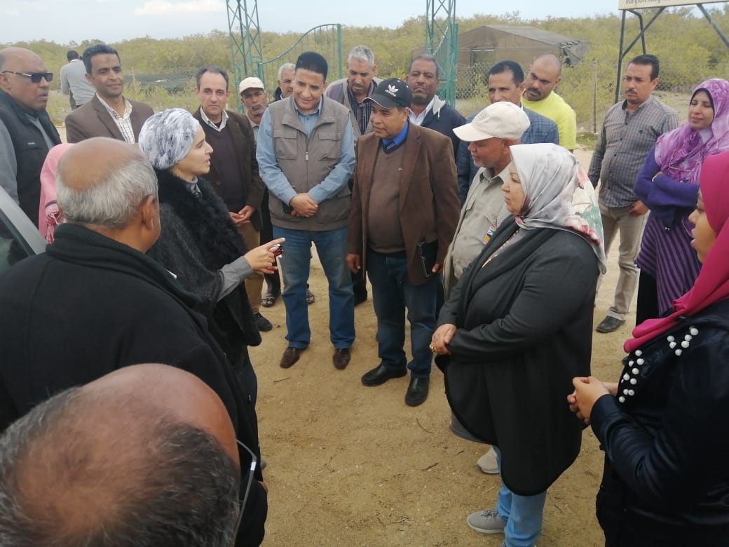 وفد من جامعة جنوب الوادي يزور محمية المانجروف