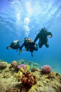 فؤاد: تتابع رحلة تحقيق حلم بطل من ذوى الهمم بالغوص بمحمية رأس محمد