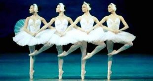 عودة تدريجية لأضواء الثقافة والفنون فى ربوع مصر تبدأ بـ 25 %