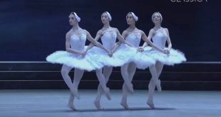 صباح السياحة .. مهرجان هندى على ضفاف النيل وباليه بحيرة البجع بالأبرا