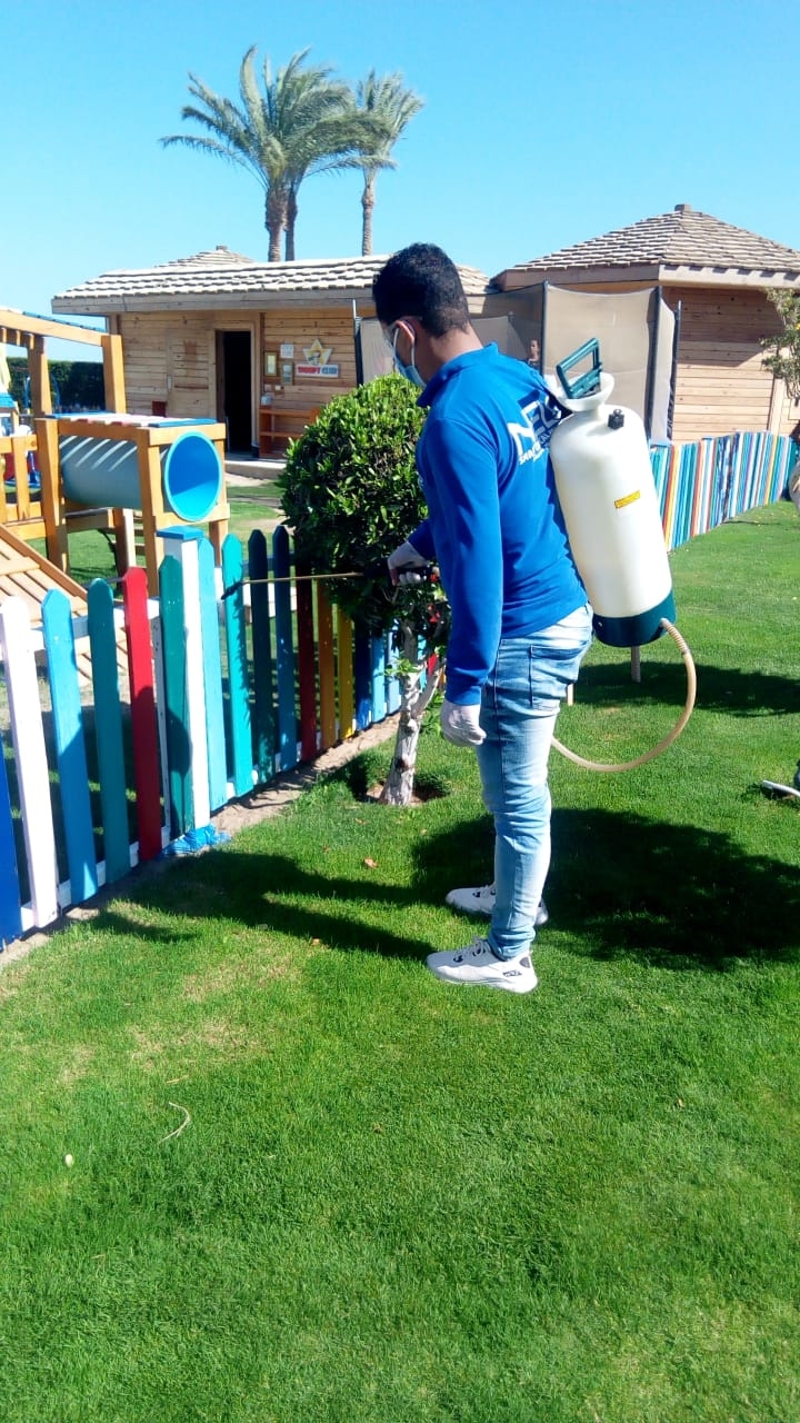 بدء تطهير وتعقيم الفنادق فى الغردقة .. والأقصر فى المرحلة الثانية