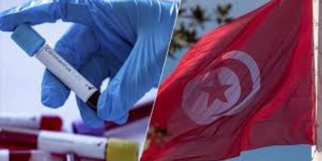 تونس تضع بروتوكولاً صحياً تمهيداً لعودة السياحة