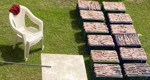 ضبط مجموعة من الصينيين أثناء تجهيزهم وجبة غداء من الثعابين