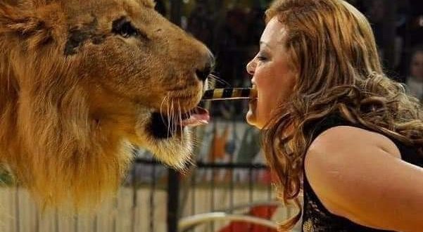 فاتن الحلو تنفى هروب أسد وتؤكد السيرك المصري الأوروبي يتعرض لحملة تشويه 