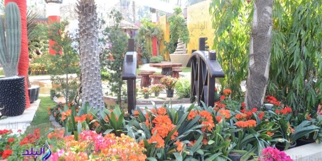 افتتاح معرض زهور الربيع نهاية الشهر بمشاركة 85 عارضاً