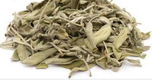 المريمية لتنقية الهواء فى منازلكم والقضاء علي الجراثيم