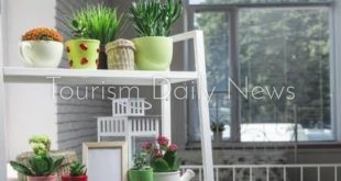 تنقية الهواء فى المنزل .. طرق بسيطة وغير مكلفة