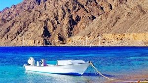 تعرف على محمية أبو جالوم ...كنز سياحي في مصر