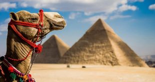  اجراءات الحكومة هل تكفى لانتشال السياحة المصرية من أزمتها ؟