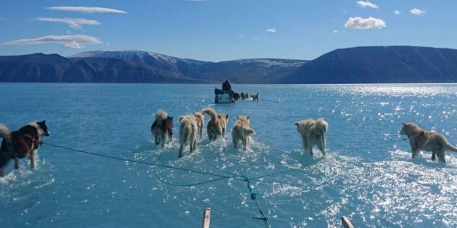 السماء الصافية ودرجة الحرارة مسئولان عن أسوأ عام فى جزيرة جرينلاند