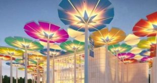 مهرجان بكين