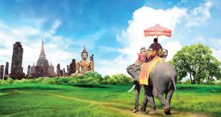 السياحة تعود إلى تايلاند على استحياء.. استقبلت 1000 سائح في أكتوبر