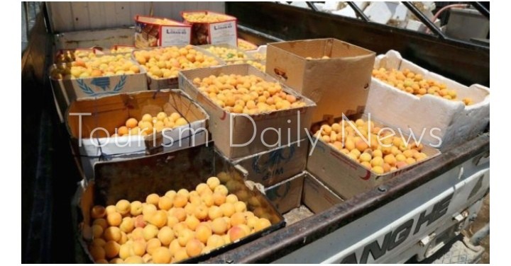 قمر الدين .. ضيف رمضان الدائم .. مشروب له تاريخ3