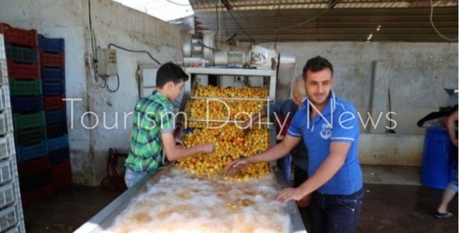 قمر الدين .. ضيف رمضان الدائم .. مشروب له تاريخ5