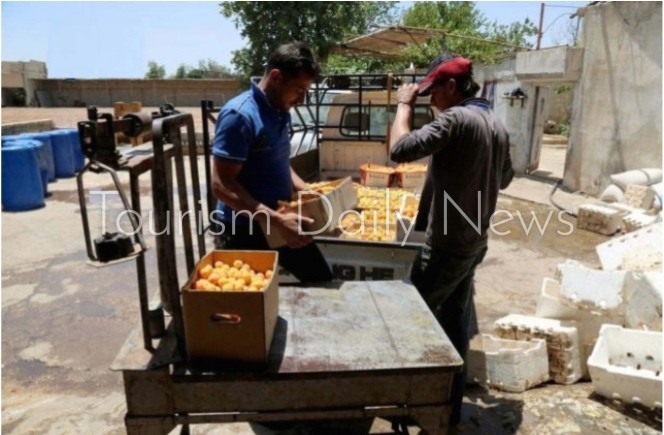 قمر الدين .. ضيف رمضان الدائم .. مشروب له تاريخ