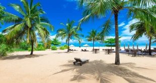 جزيرة بالي الإندونسية تخطط لاستئناف السياحة في أكتوبر القادم