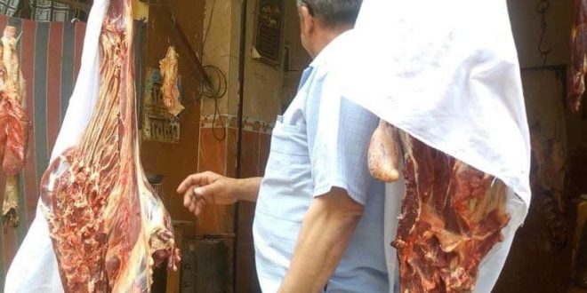 سوهاج .. ضبط نصف طن لحوم مجمدة غير صالحة .. وتحرير 12 محضراً تموينياً