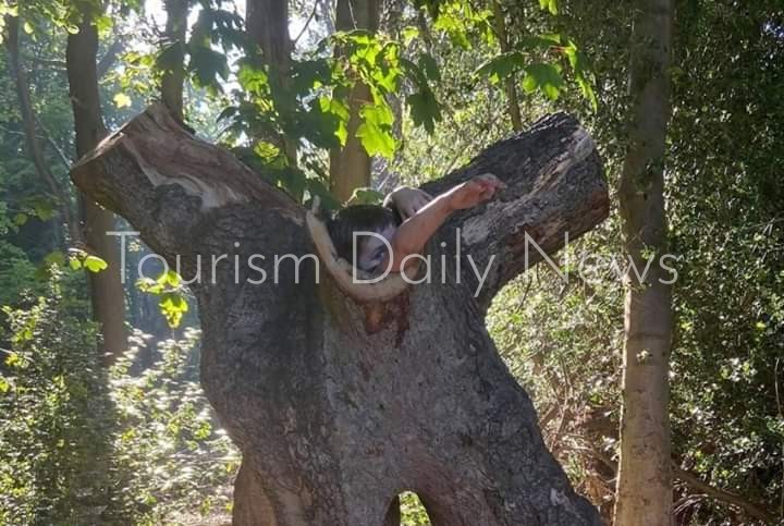 في أول خروجة بعد رفع الحظر بريطاني كاد يفقد حياته بمأساة