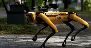 سنغافورة تستخدم كلب آلي للحد من انتشار فيروس كورونا في المنتزيات