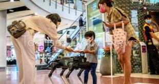 "كاي 9".. كلب آلى يساعد فى إجراءات الوقاية من فيروس كورونا بتايلاند