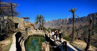 السياحة العمانية تجمع الشركات لبحث الخروج من الأزمة الراهنة وعودة الرحلات