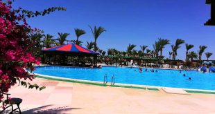 تسليم شهادات السلامة وصحة لفنادق مدن البحر الأحمر خلال الأسبوع الجاري