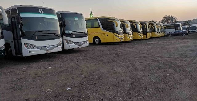 وزارة السياحة تضع 6 اشتراطات لتشغيل النقل السياحي بمختلف أنواعها